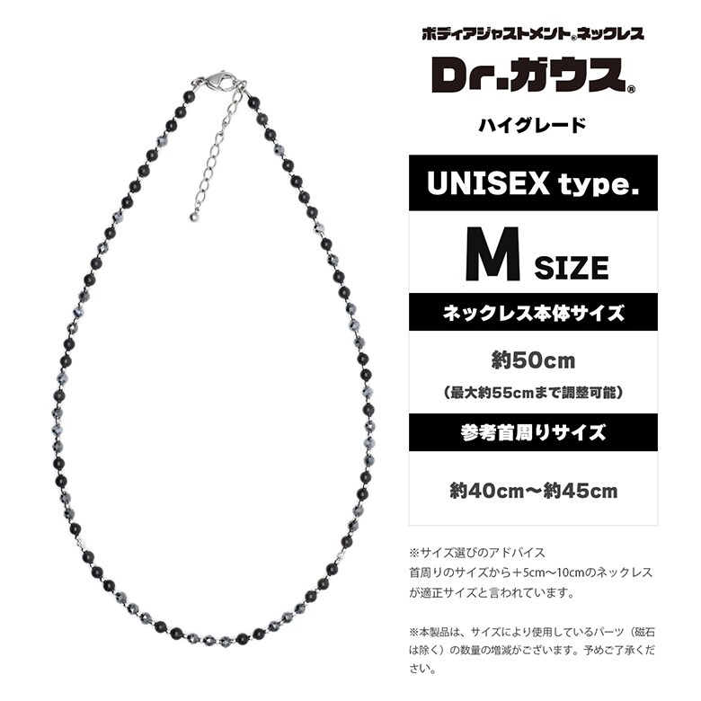 Dr.ガウス　ネックレス
