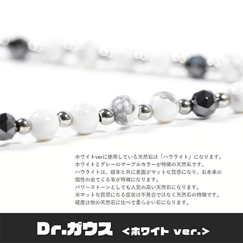 Dr.ガウス ネックレス