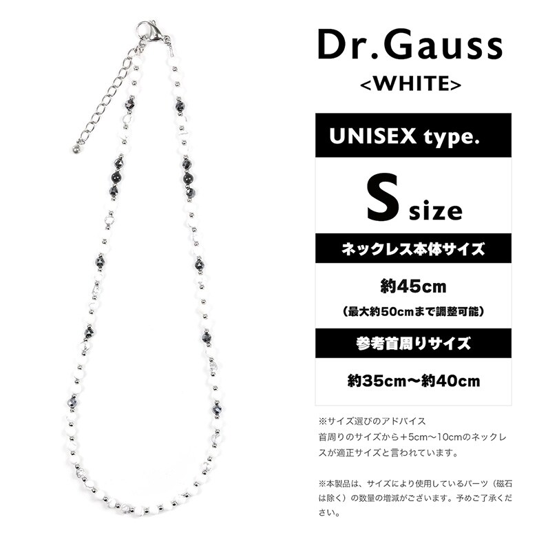 Dr.ガウス ネックレス