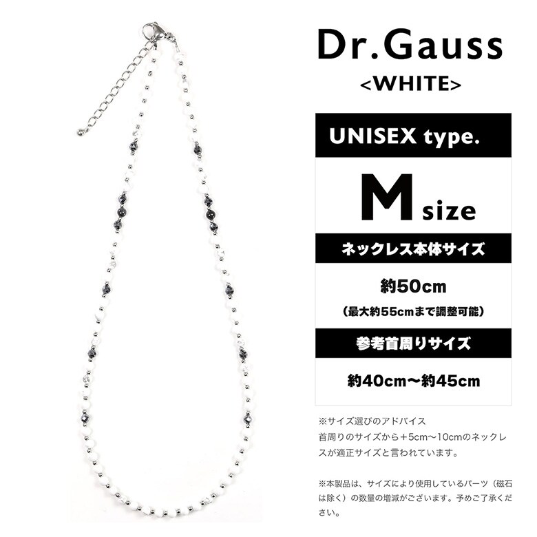 Dr.ガウス ネックレス