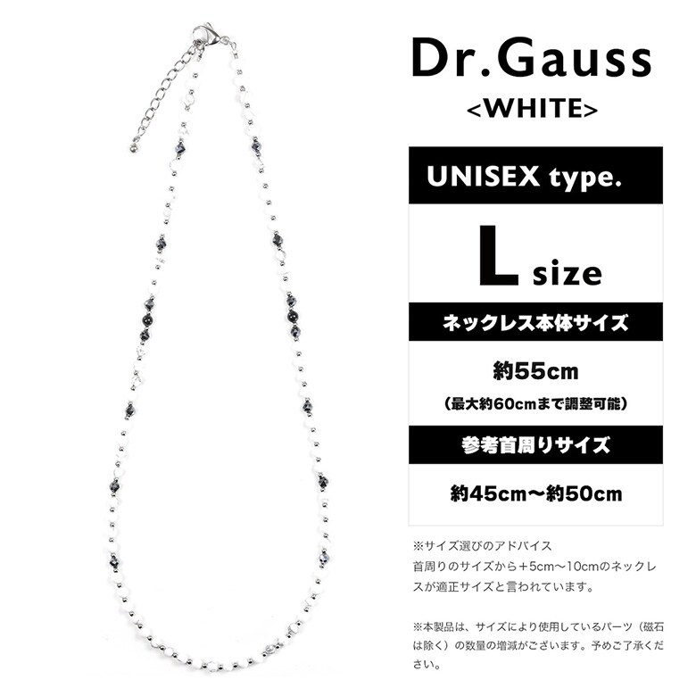 Dr.ガウス ネックレス