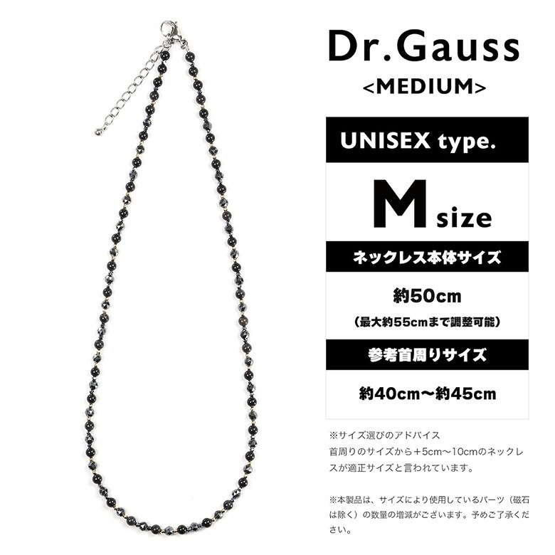 Dr.ガウス　ネックレス