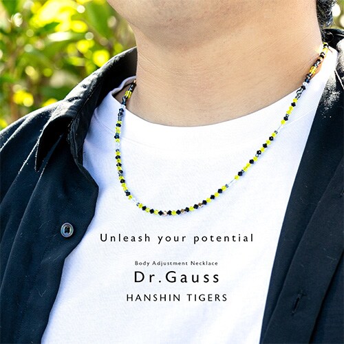Dr.ガウス ネックレス