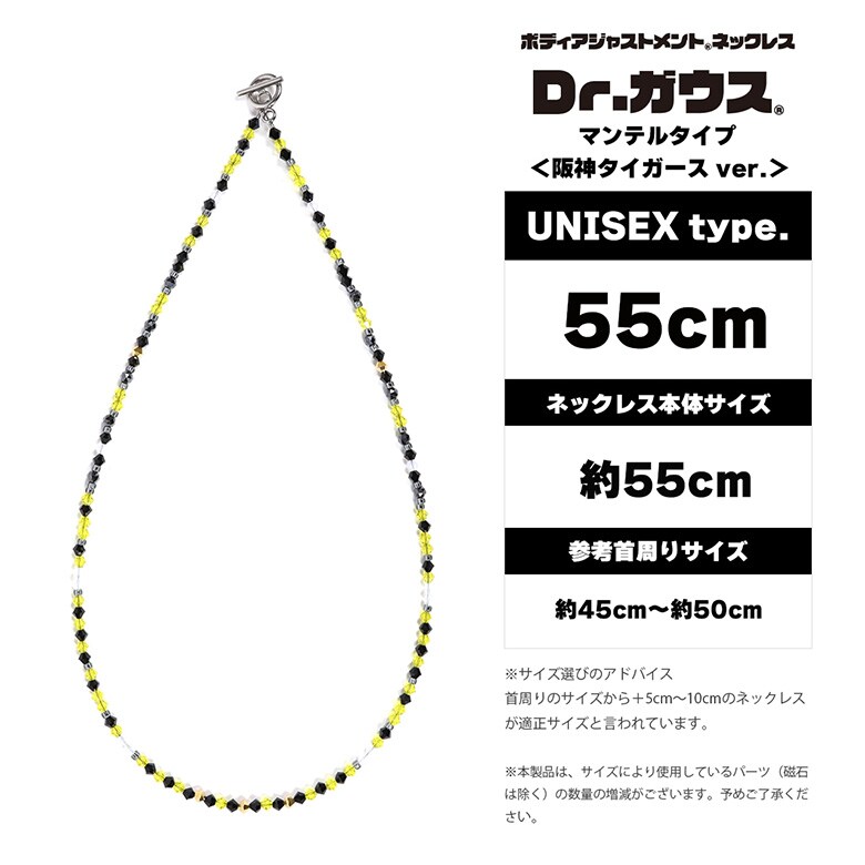 Dr.ガウス　ネックレス
