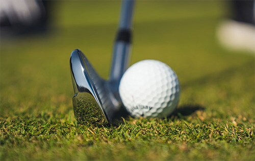 キャロウェイ　エリート