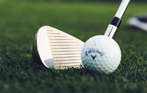 キャロウェイ エリートX