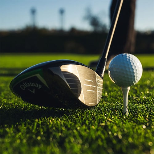 キャロウェイ エリート TD