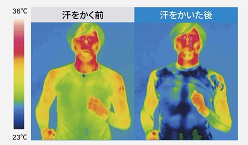 リベルタ 長袖 シャツ