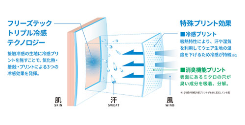 リベルタ Vネック インナー