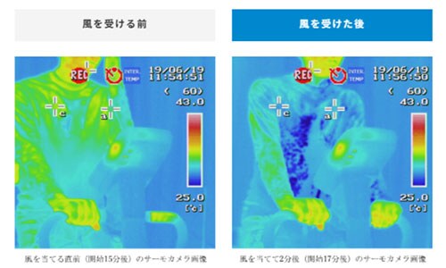 リベルタ Vネック インナー