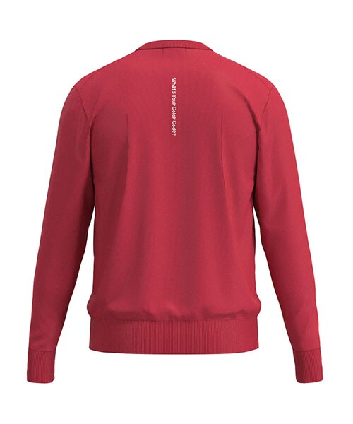 ピン　セーター