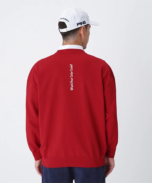 ピン　セーター