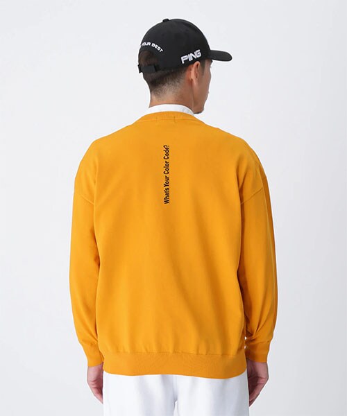 ピン　セーター