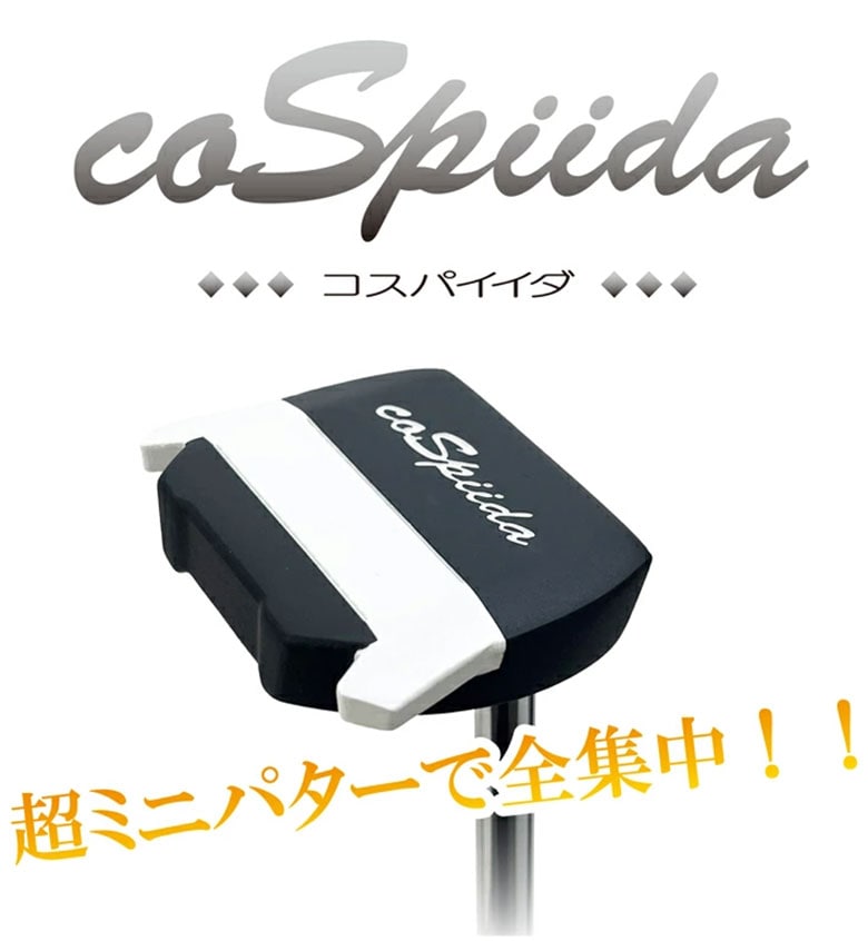 リンクス パター