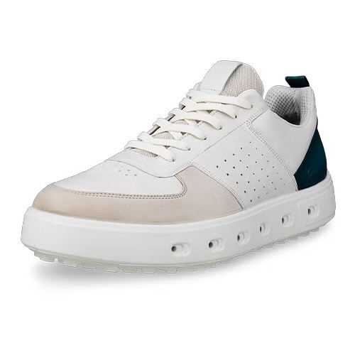 エコー　ゴルフシューズ