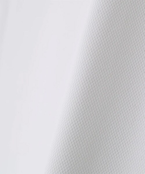 ピン 半袖シャツ