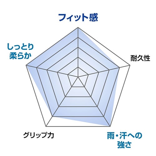ブリヂストン ツアー ゴルフグローブ