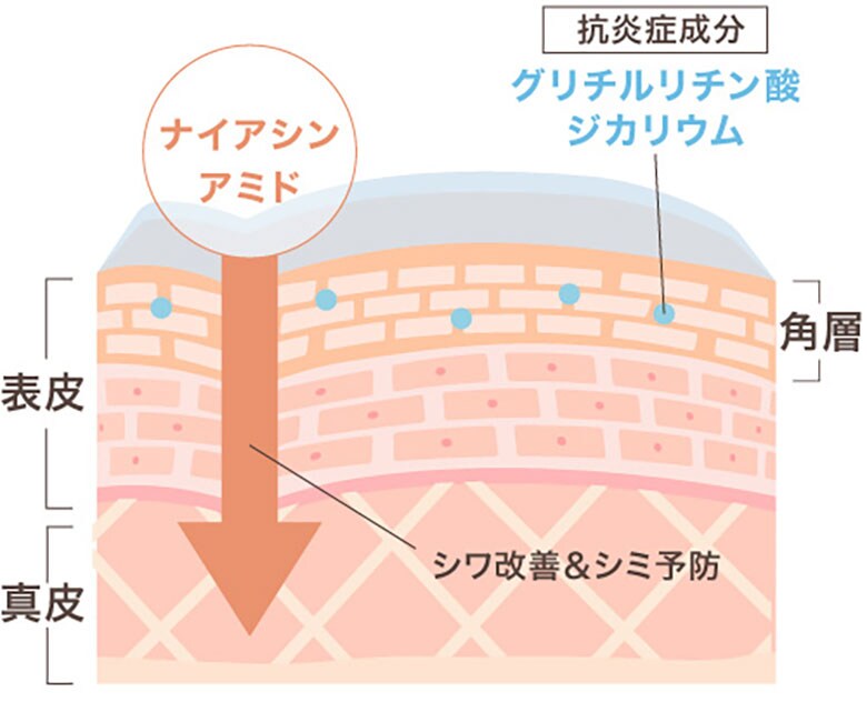 ゼロホール 美容液