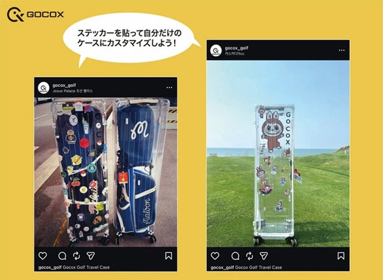 ゴーコックス　トラベルケース