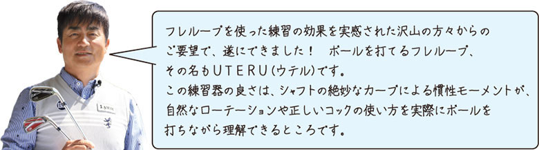 リンクス スイング練習器具
