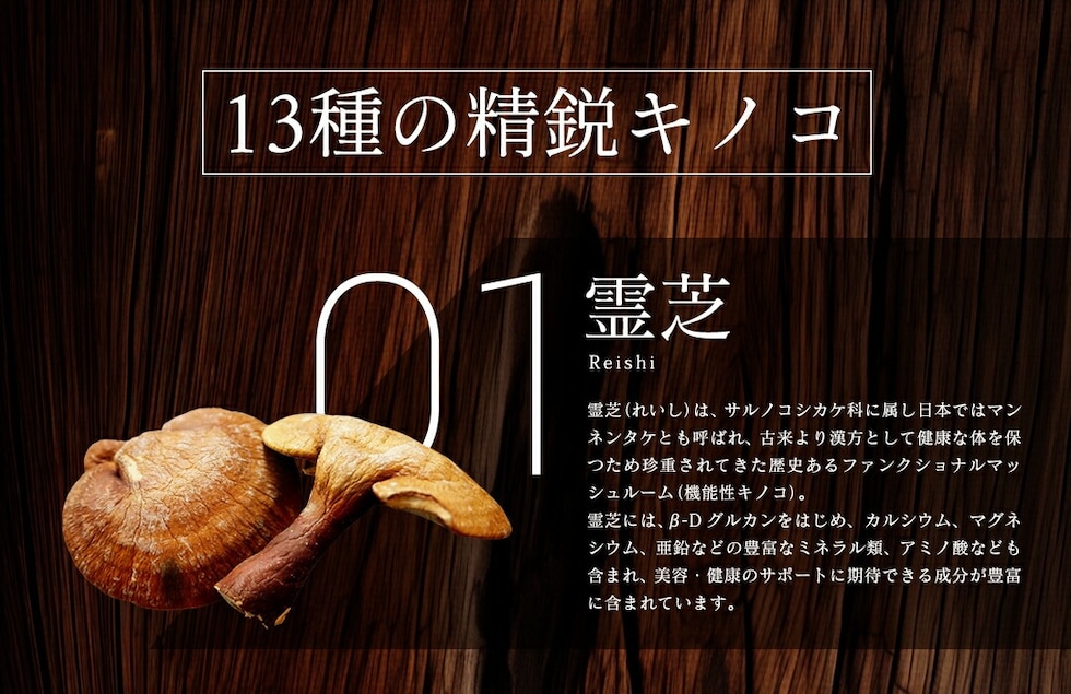 “13種のキノコミックスパウダー