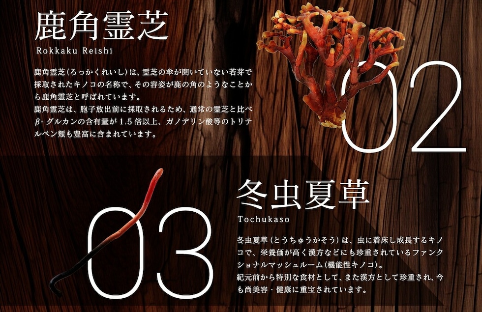 “13種のキノコミックスパウダー