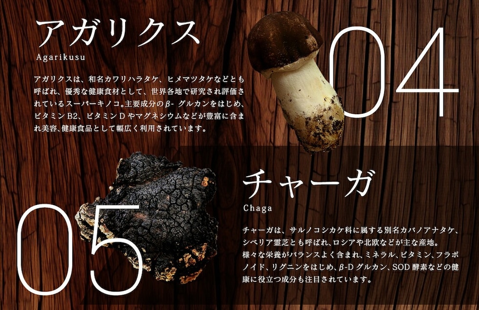 “13種のキノコミックスパウダー