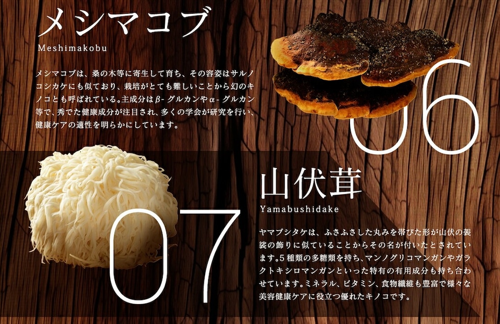 “13種のキノコミックスパウダー