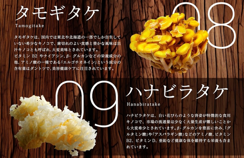 “13種のキノコミックスパウダー