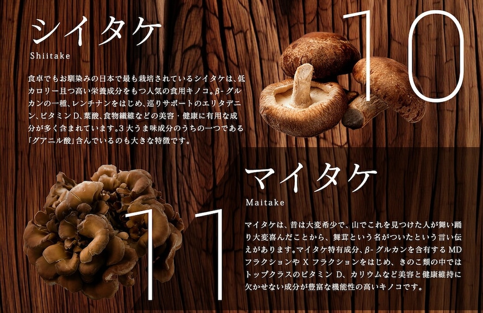 “13種のキノコミックスパウダー