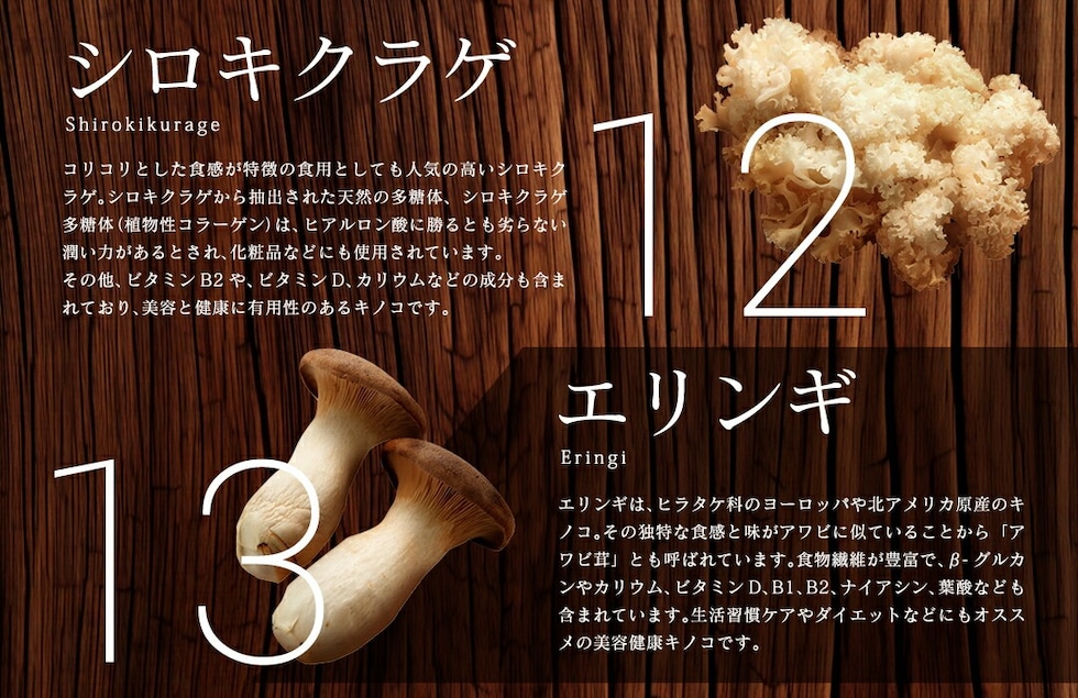 “13種のキノコミックスパウダー