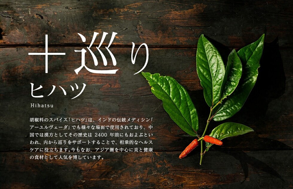 “13種のキノコミックスパウダー