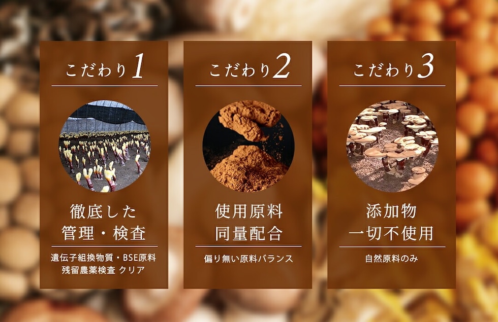 “13種のキノコミックスパウダー