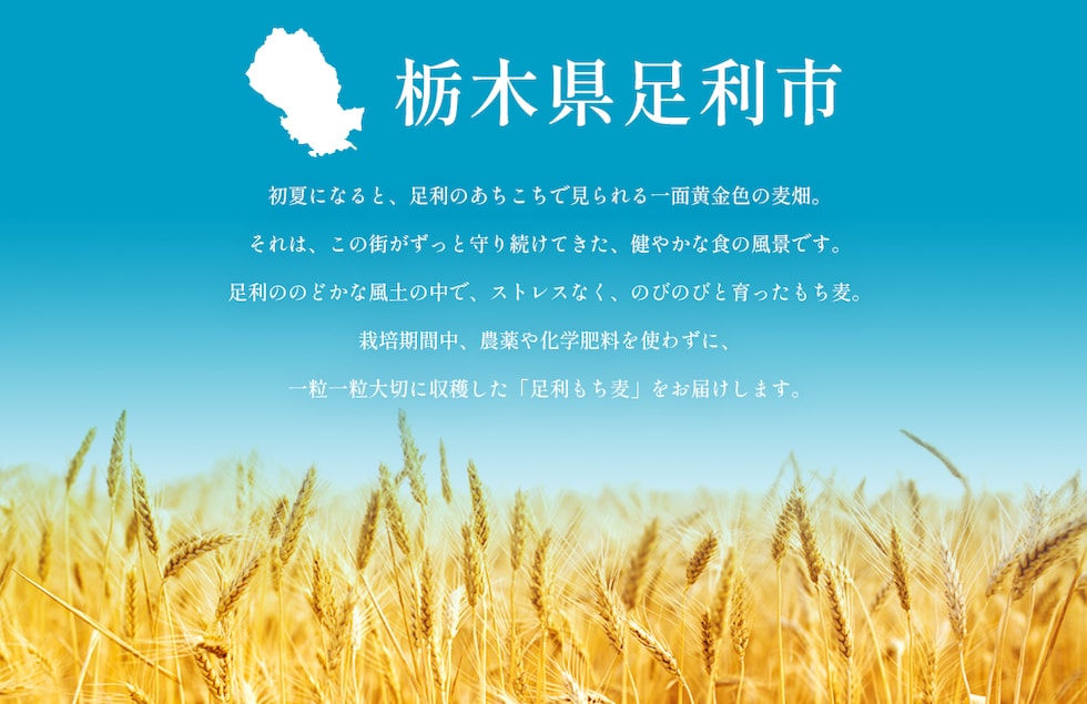 “足利もち麦”
