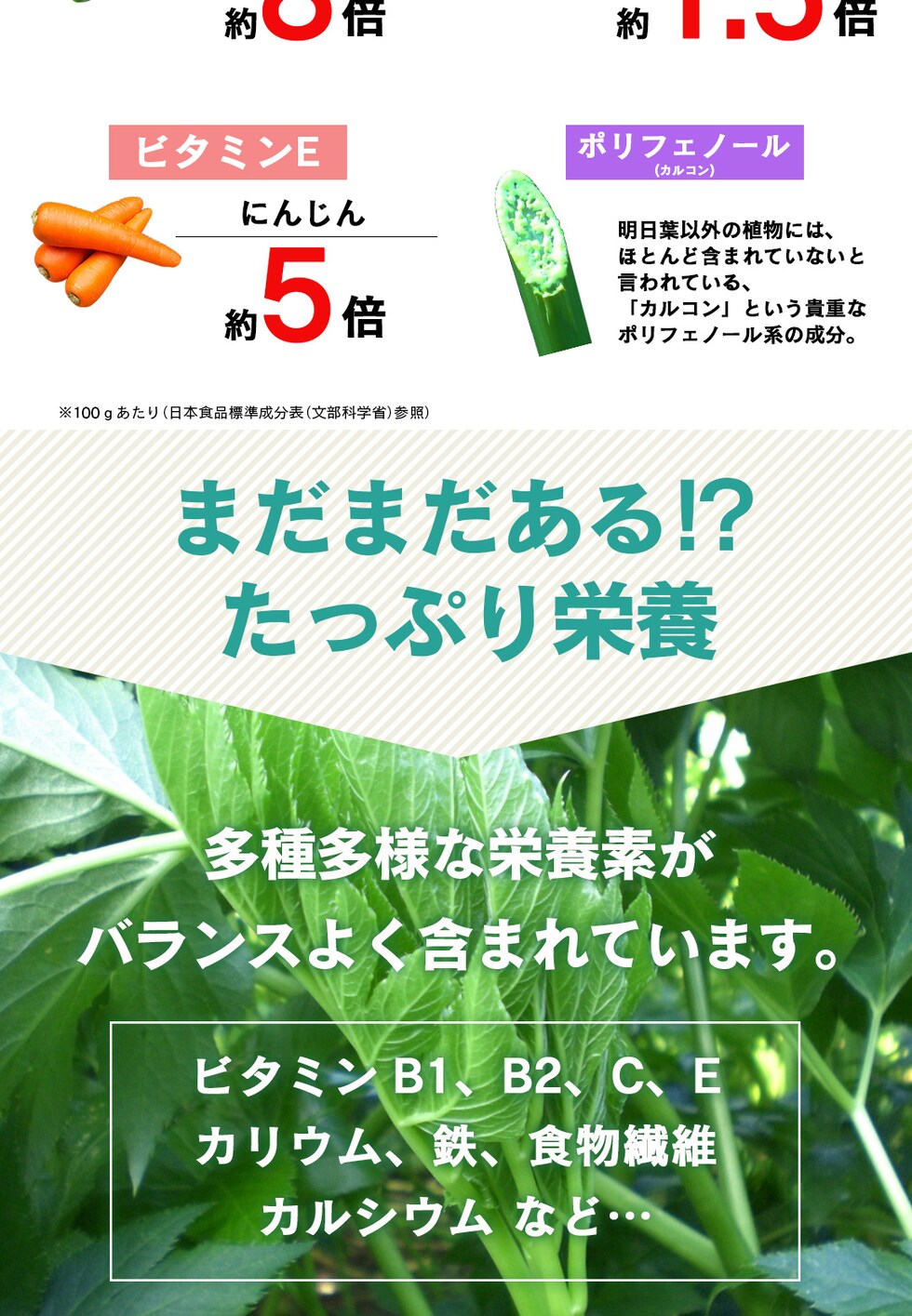 “明日葉パウダー”