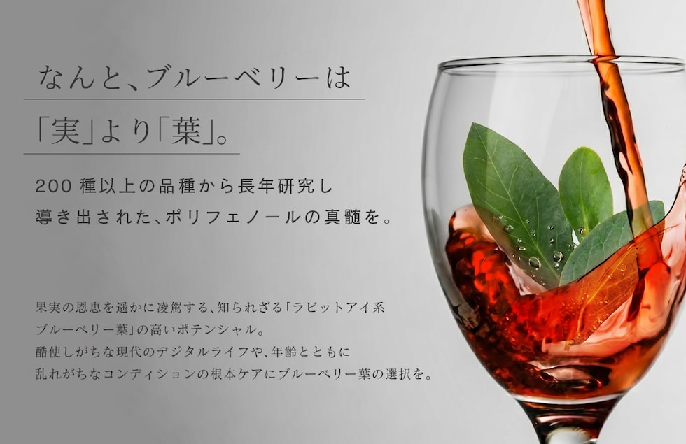 “ブルーベリー葉エキスパウダー”
