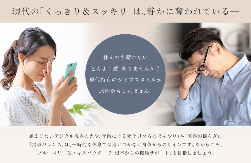 “ブルーベリー葉エキスパウダー”
