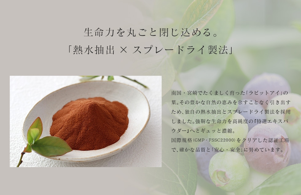 “ブルーベリー葉エキスパウダー”