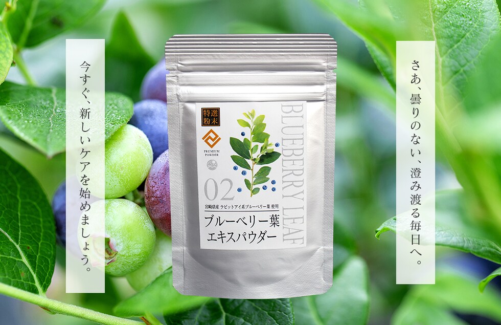 “ブルーベリー葉エキスパウダー”