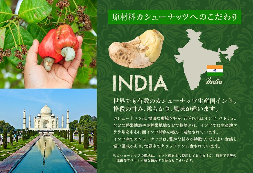 “カレーカシューナッツ”
