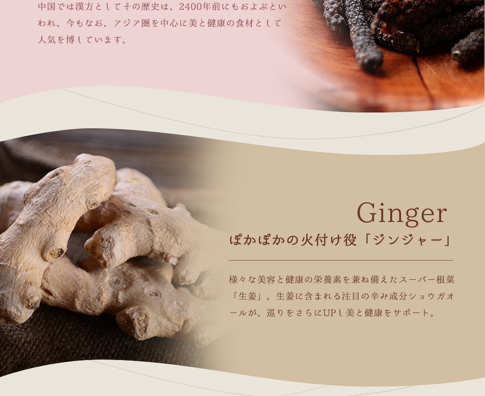 “ヒハツ＆ジンジャーと16種のフルーツドリンク”