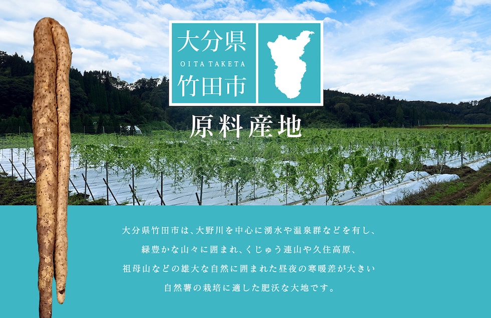 “自然薯パウダー”