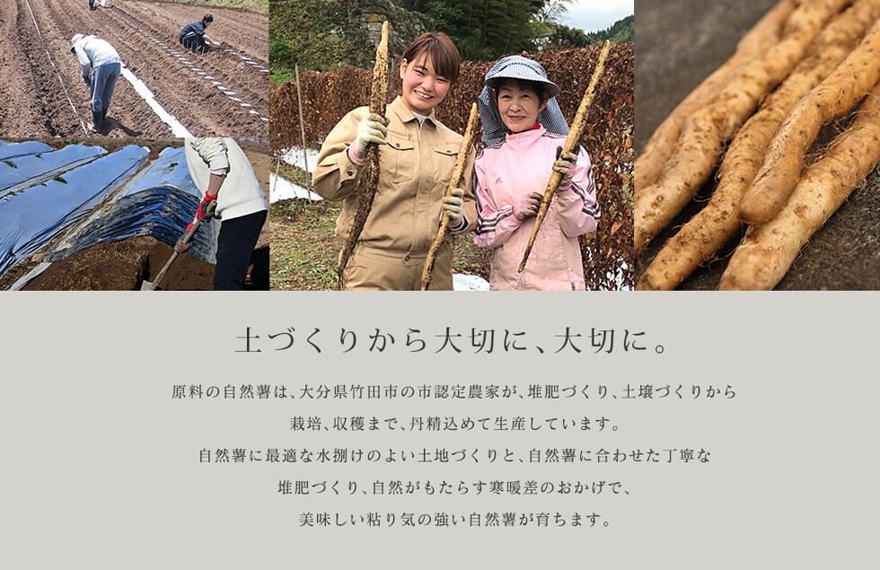 “自然薯パウダー”