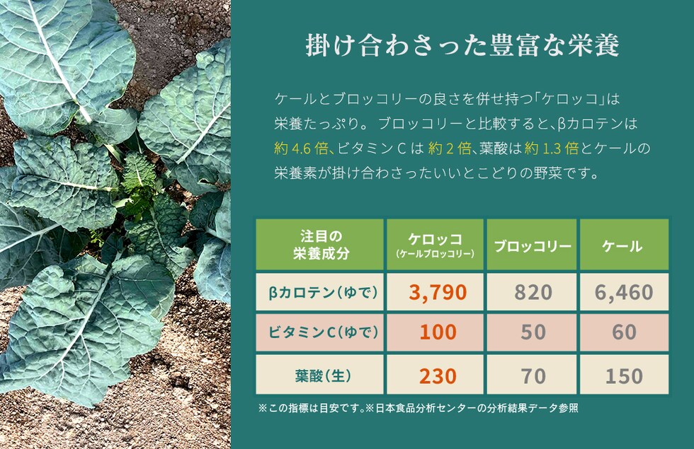 “ケロッコパウダー”
