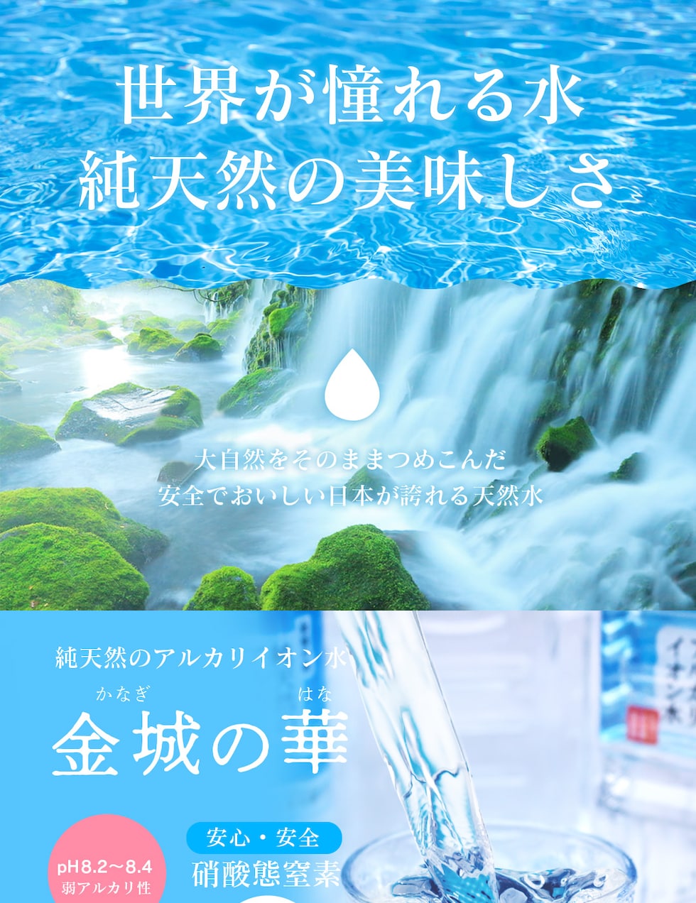 “金城の華2L”