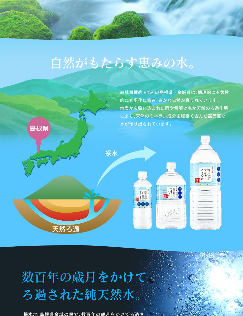 “金城の華2L”