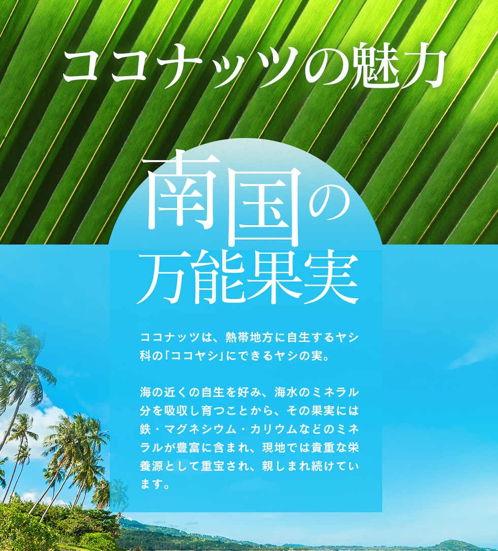 “こんがりココナッツ