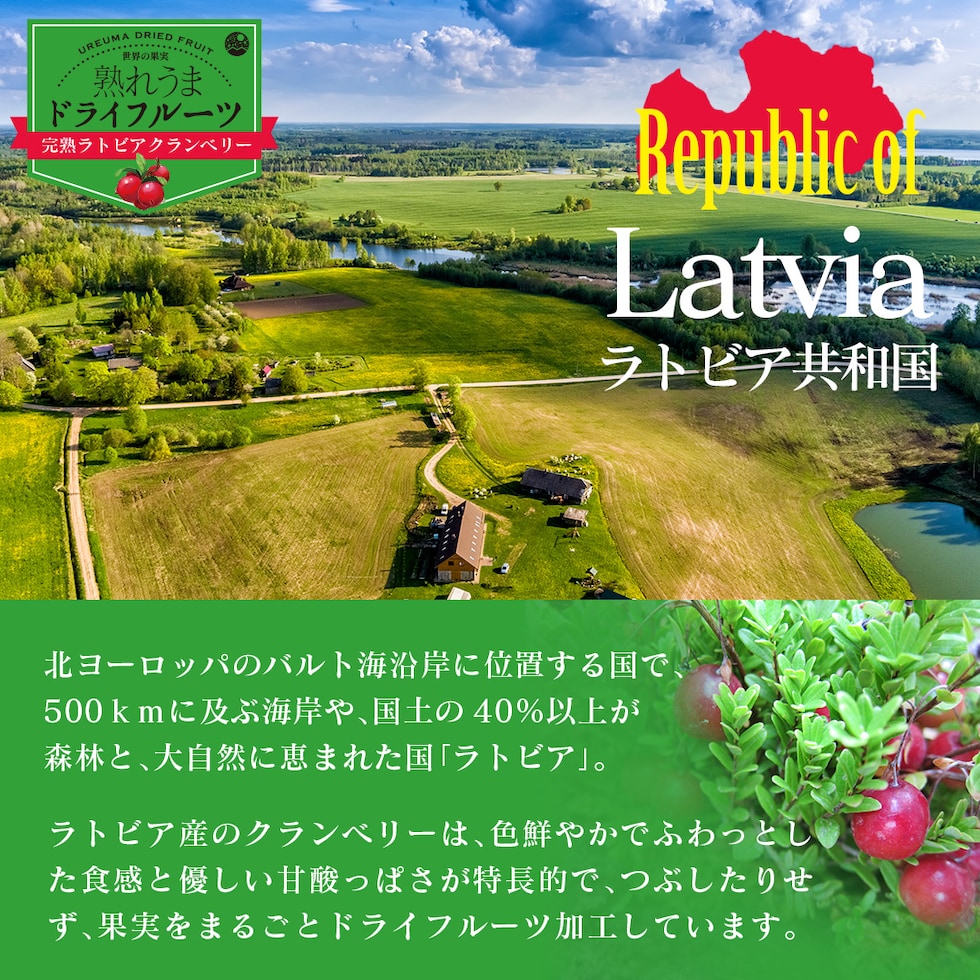 “ドライクランベリー