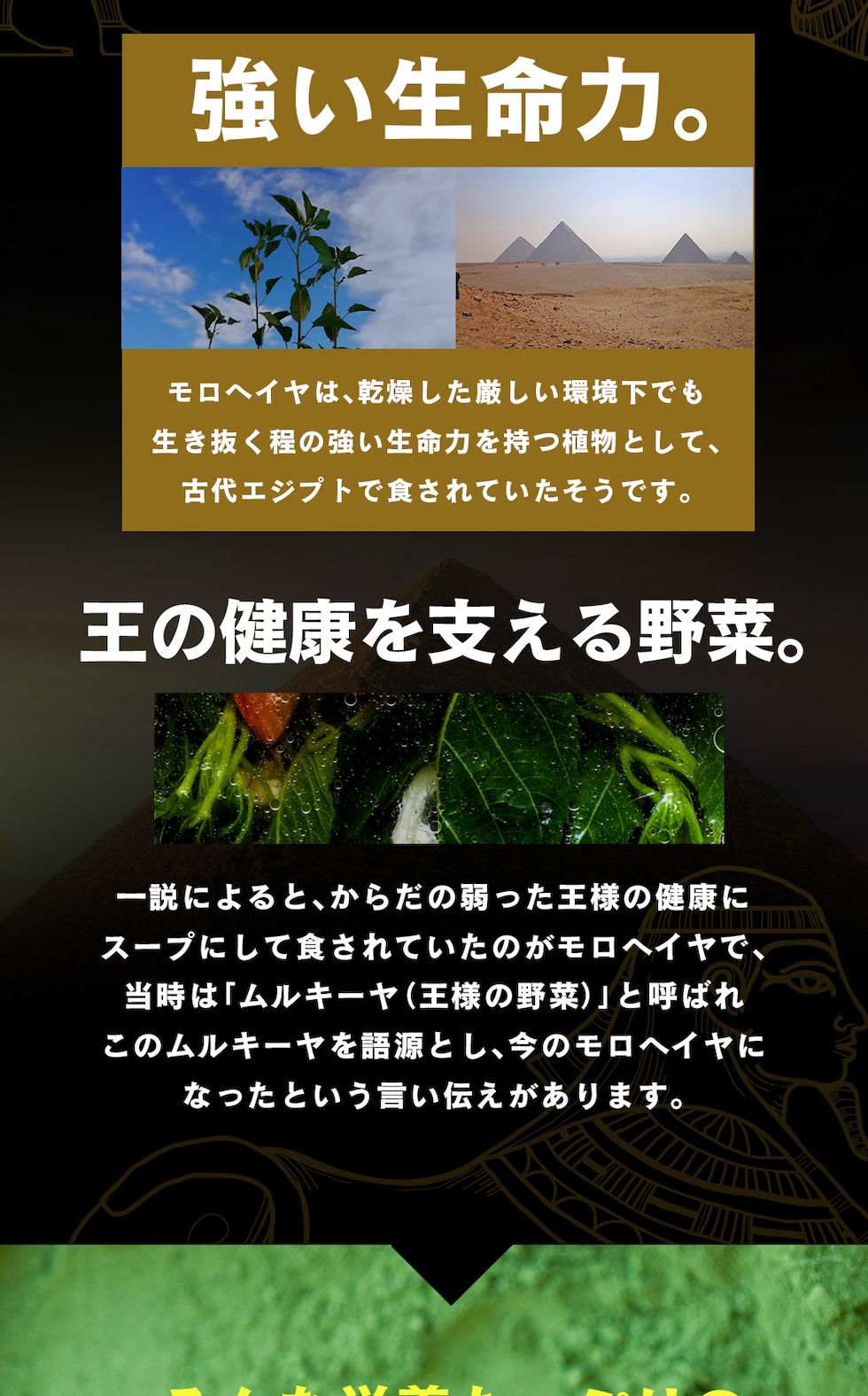 “モロヘイヤパウダー”