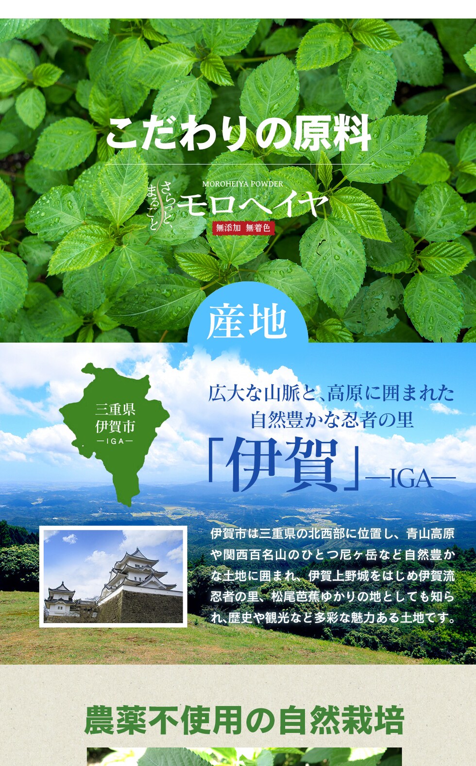 “モロヘイヤパウダー”